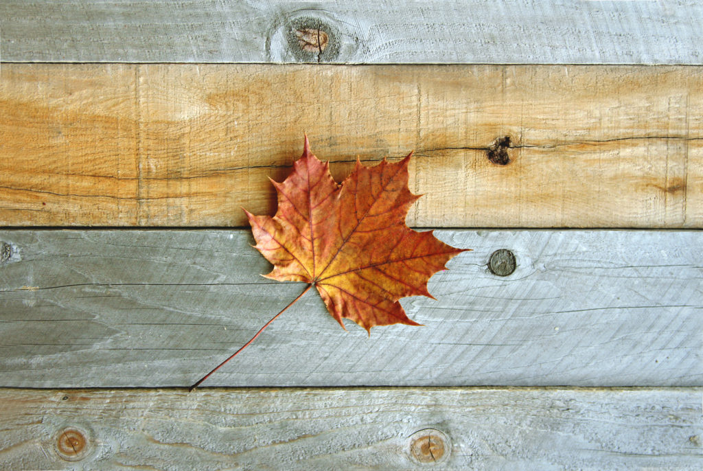 The autumn solstice rolled into the continental United States at 10:21 a.m. EDT today!